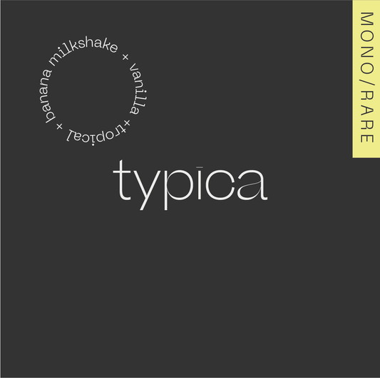 TYPICA Colombia - Los Nogales (Filter)